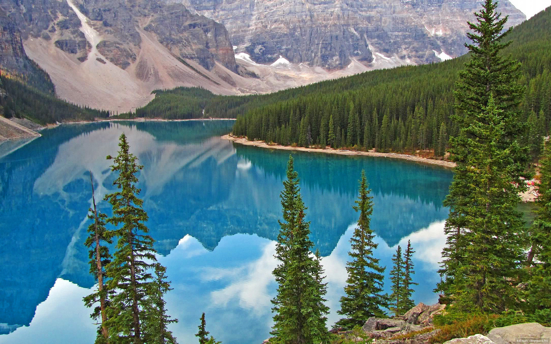 黑天鹅掠过北岸花园,当鹈鹕的羽翼遮蔽了绿军的十七面旗帜