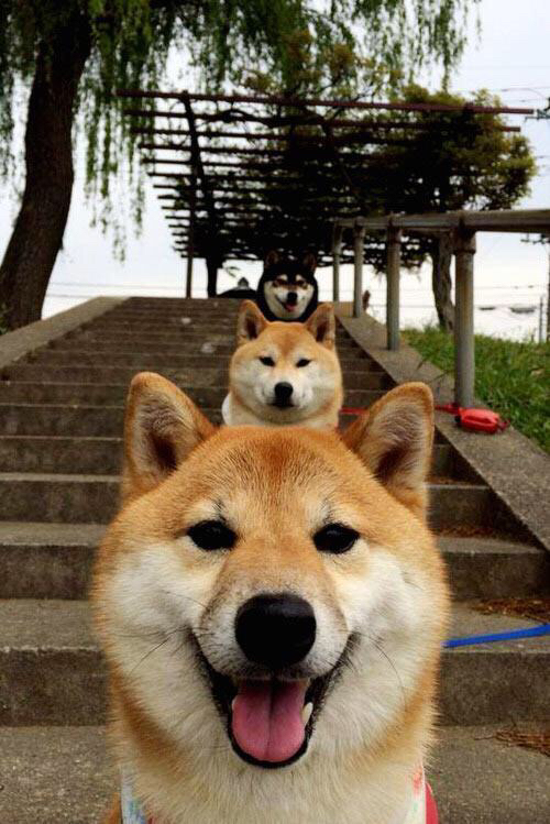 黑马狂奔,玻利维亚淘汰巴西,莱奥成救世主