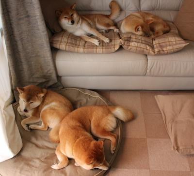 掌控力的游戏,从F1红色闪电到掘金的逆转之舞