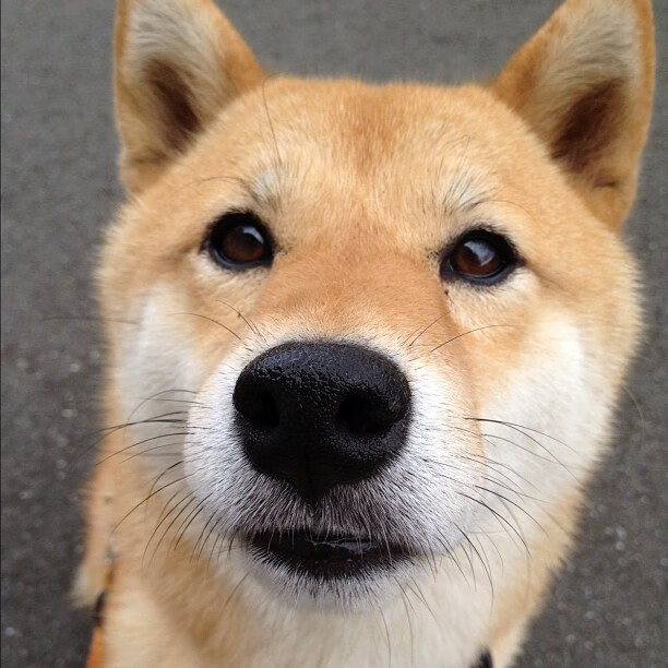 利刃出鞘，悬念尽碎—黄喜灿的欧冠半决赛之夜