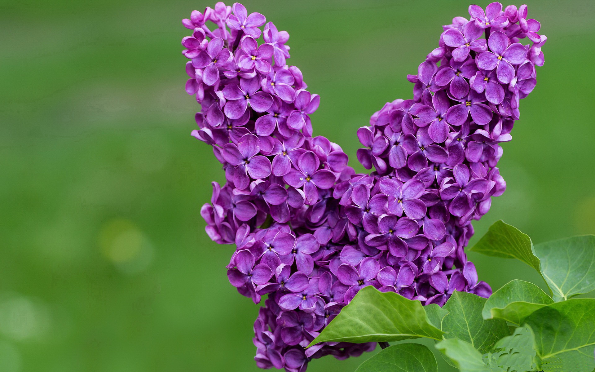 唯一性的对决，当比利时的战车，碾过比利亚雷亚尔的刀锋