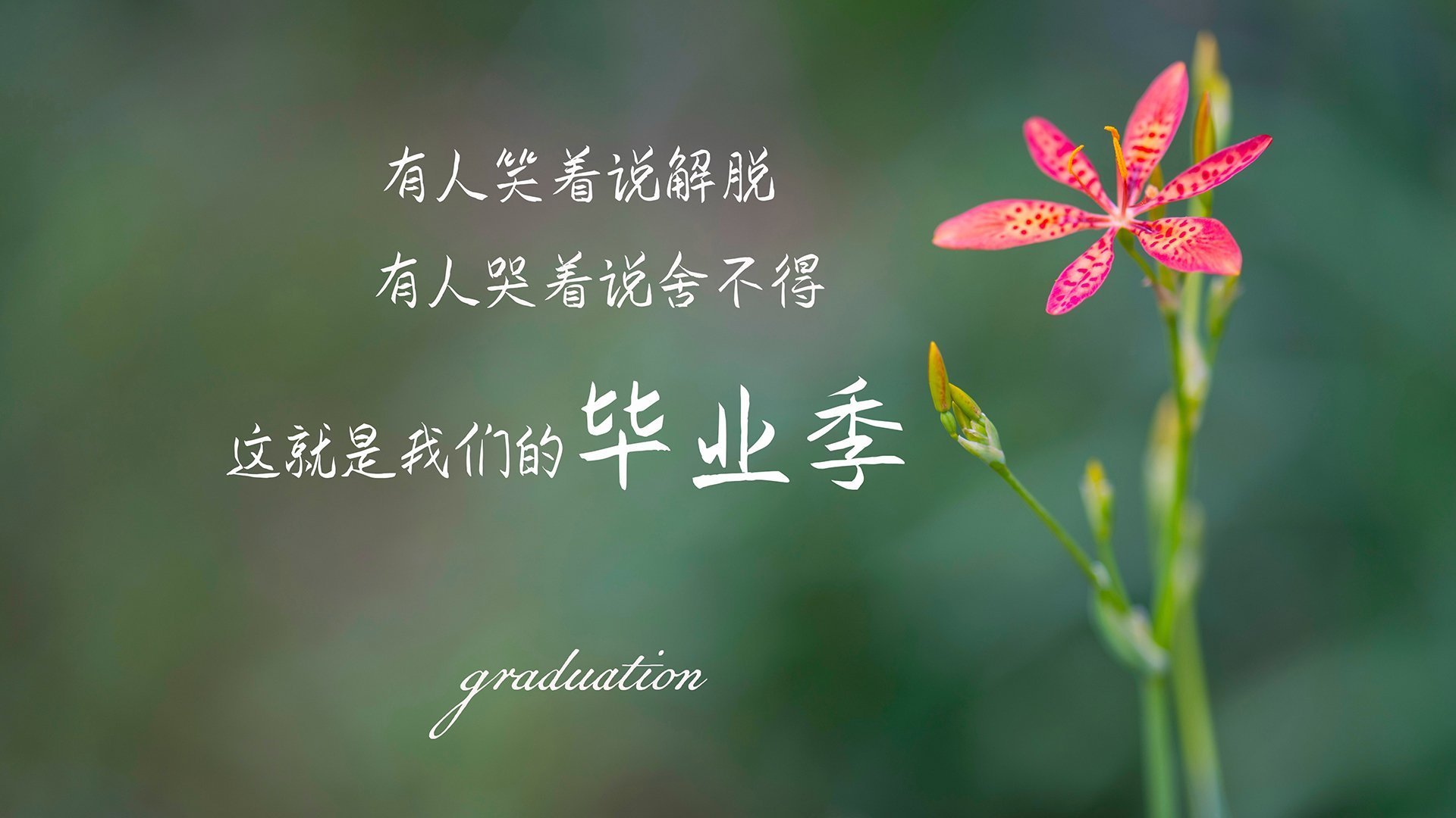 生死一瞬！利拉德超远三分杀死比赛，太阳险胜山西