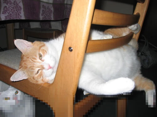 唯一一次入侵，当马丁内利的连续得分拉开差距，苏格兰如何在争冠战中战胜阿尔及利亚