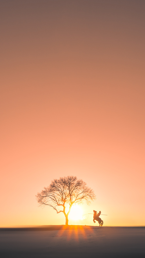 中场幻光,当巴尔韦德遇见京多安