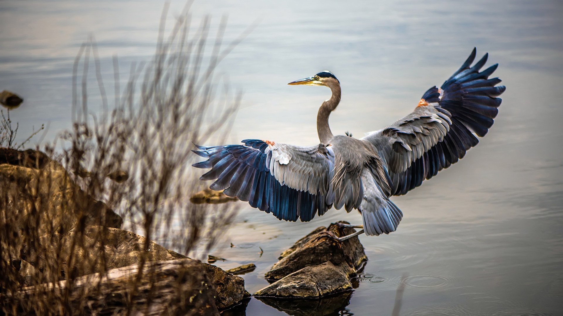 从伦敦到柏林，足球之夏的三重奏