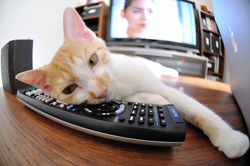 篮球世界新王座下的荆棘王冠，莫兰特生死局加冕