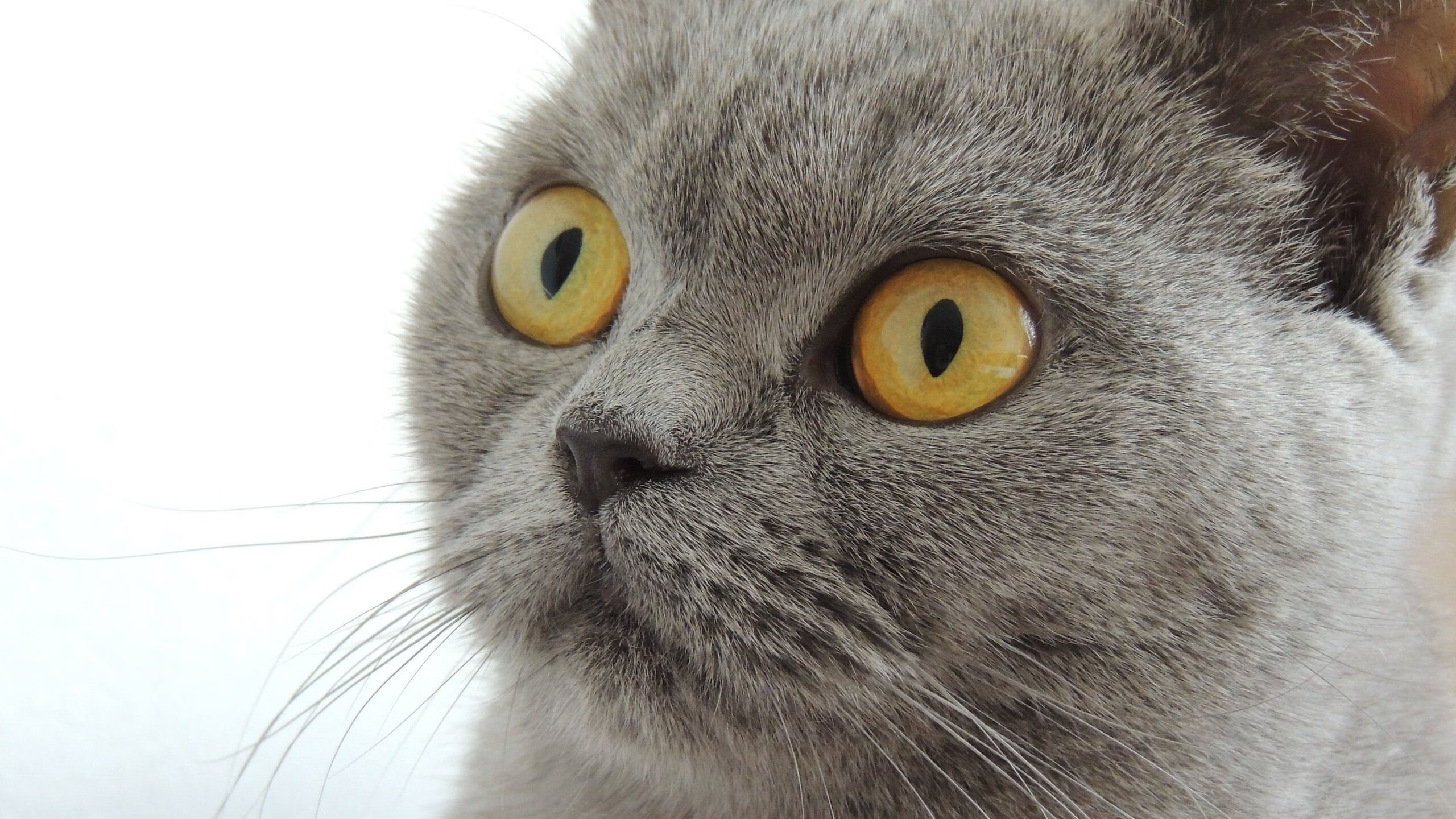 篮网攻城锤，哈登如何用一节时间提前剧透胜利悬念