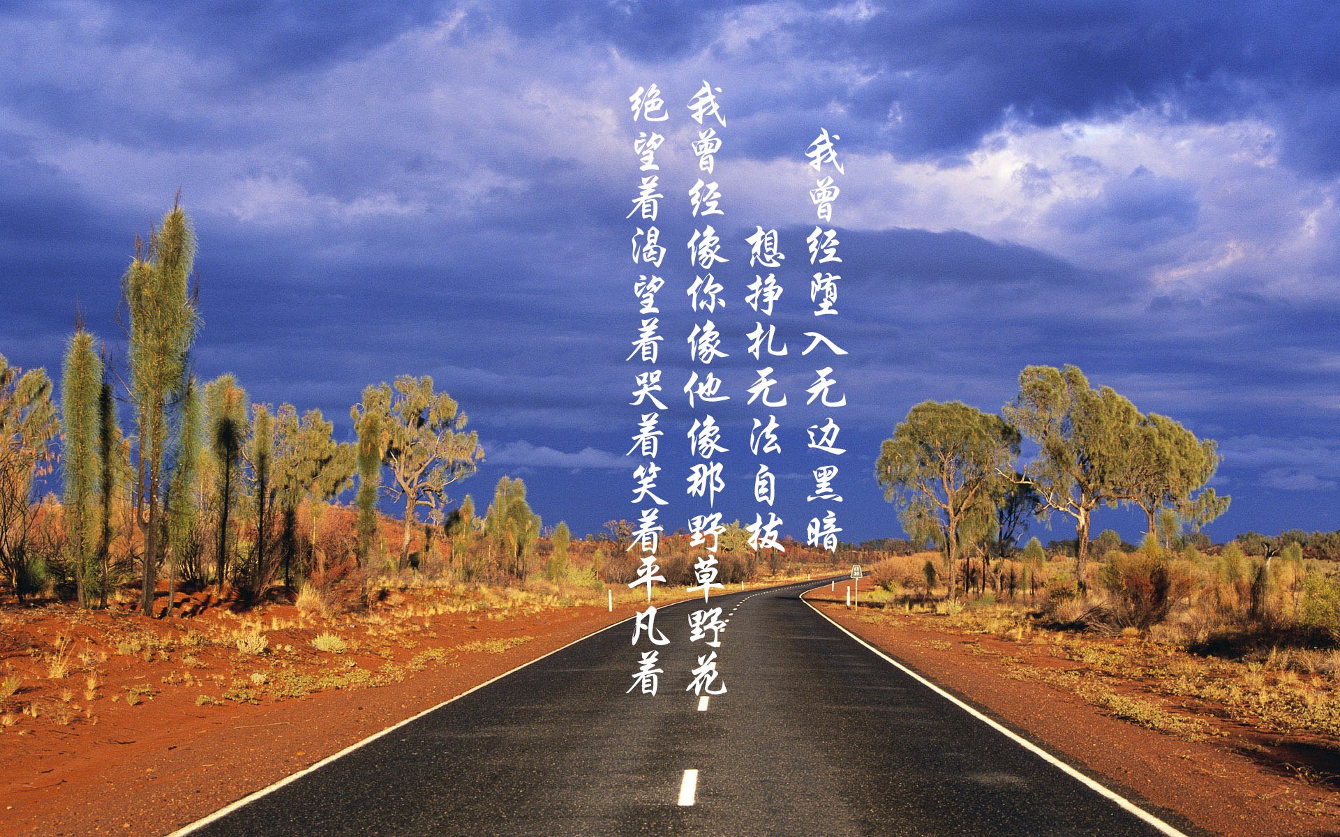 开云体育登录-库里51分神迹照亮菲尼克斯，太阳跨联盟险胜十冠王广东