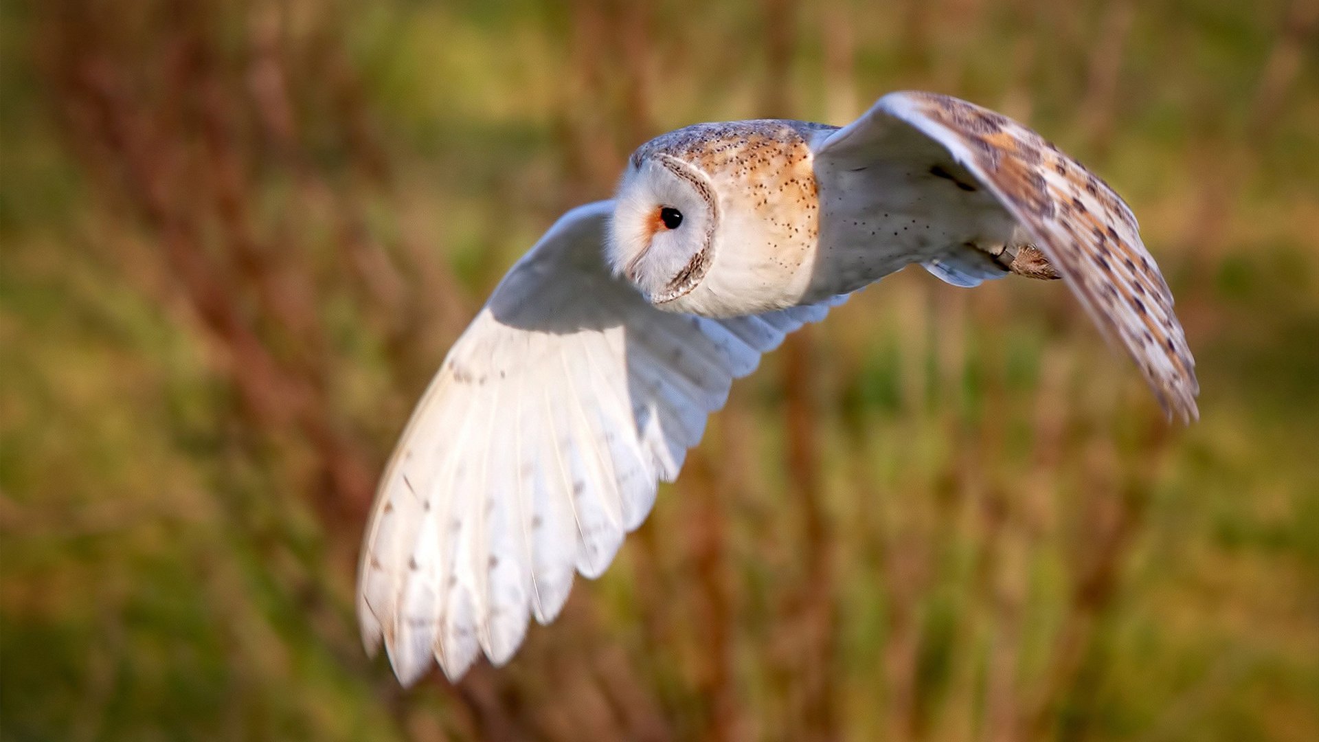 思维扩展，文章标题